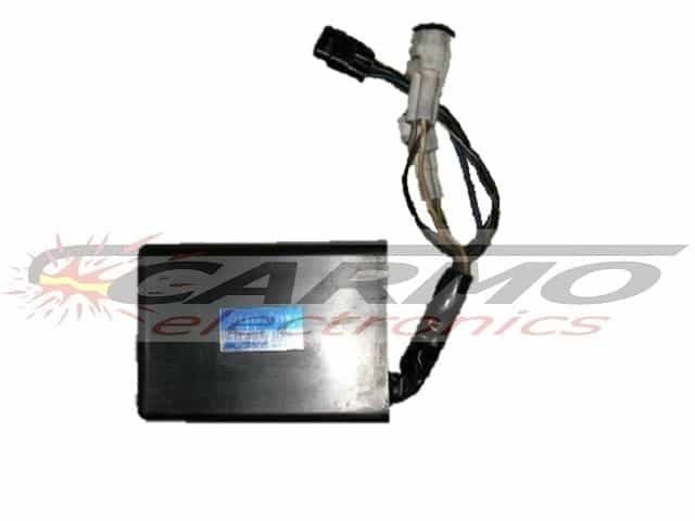 KLX250 (21119-1381, 21119-1399) moduł CDI Igniter KLX250 (21119-1381, 21119-1399) moduł CDI Igniter