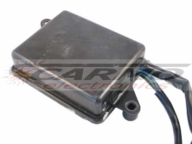 Z1300 (21119-1038, J4T00572, 2x21) CDI Igniter Black Box Z1300 (21119-1038, J4T00572, 2x21) CDI Igniter Black Box