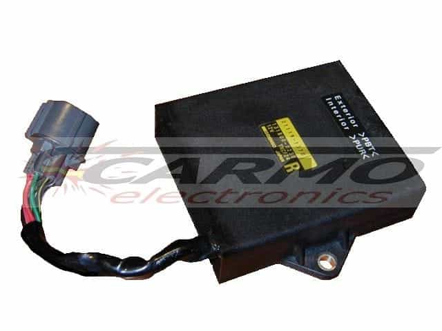 ZZR1100 (21119-1370, 131800-0230) Moduł ECM ECM ECM ECM ZZR1100 (21119-1370, 131800-0230) Moduł ECM ECM ECM ECM