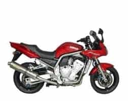 FZS1000 (2002) FZS1000 (2002)