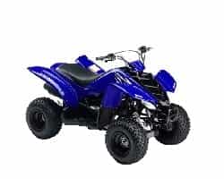 YFM 50 Raptor (04-08) YFM 50 Raptor (04-08)